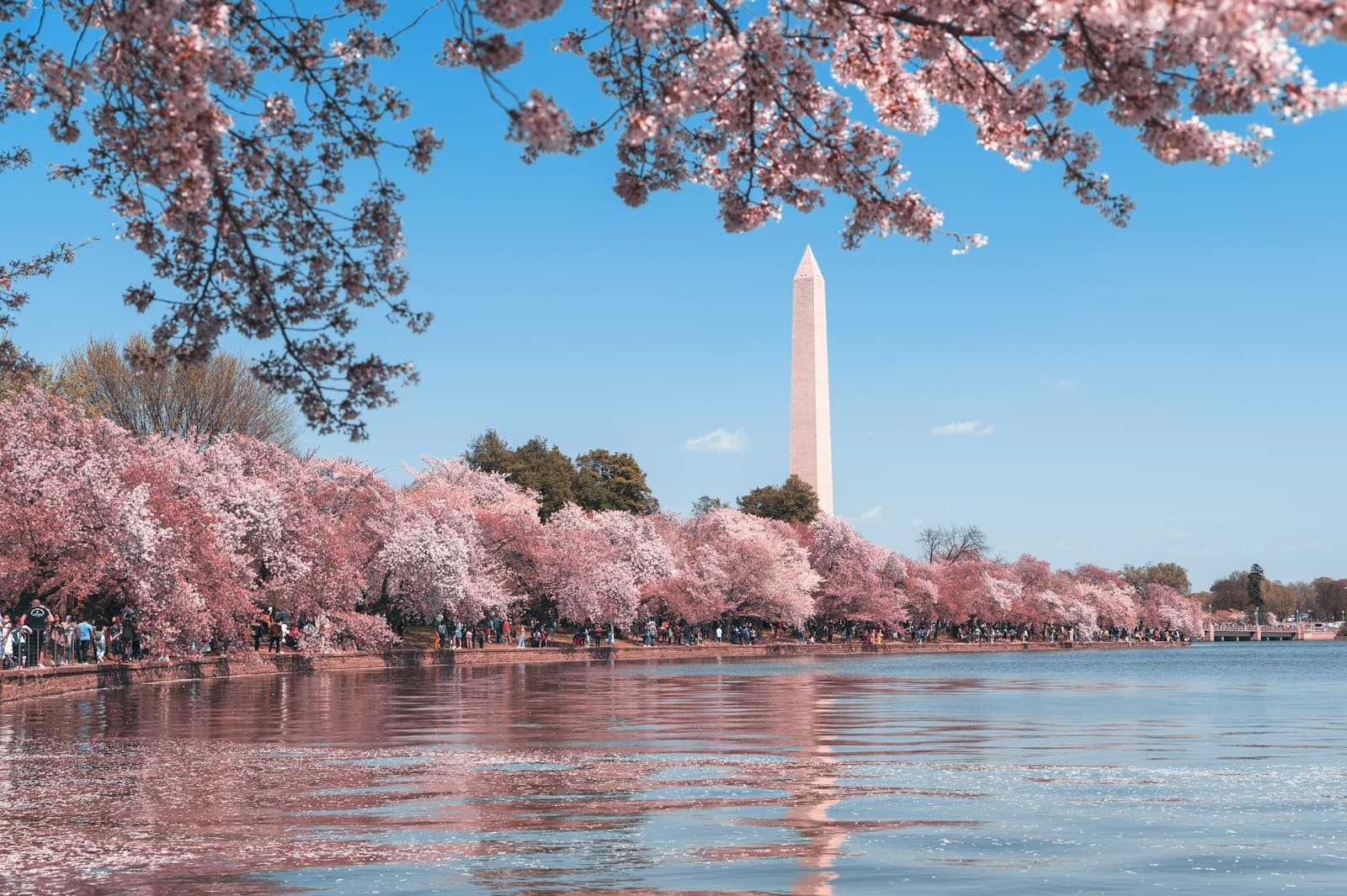 Smithsonian museums and monuments along the National Mall in Washington D.C.